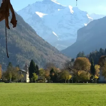 Venice Harder Interlaken